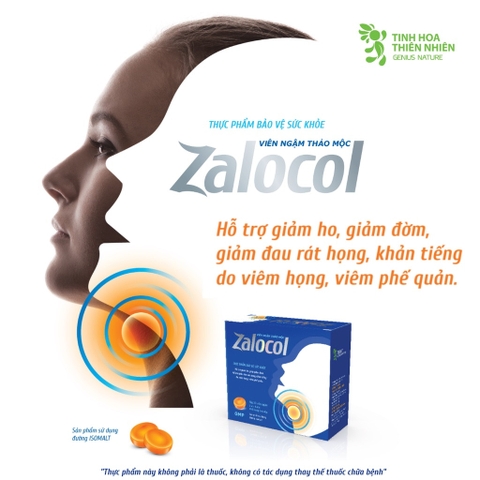 Viên ngậm thảo mộc không đường Zalocol (Hộp 20 viên, T/75H)