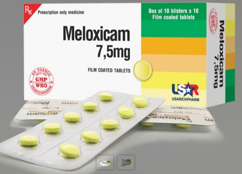 Meloxicam (H10 vỉ x 10 viên, T/320H)