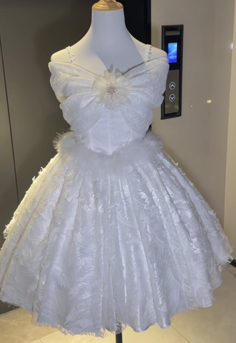 ( Pre Order ) White moonlight fairy dress X Sparkling original design