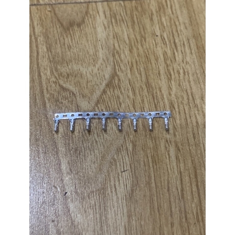 Molex 10 lỗ rắc Ecoder cho động cơ EZi Servo