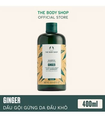 Dầu Gội Ginger Scalp Care Shampoo 400ML