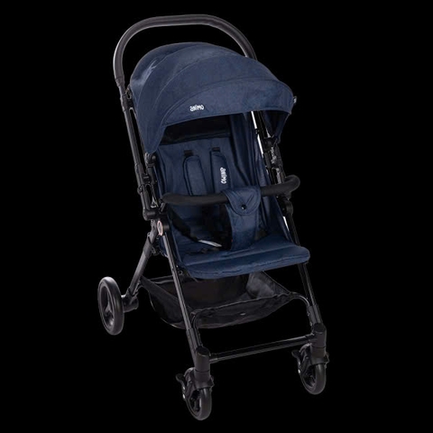 Xe đẩy Amino 2 chiều