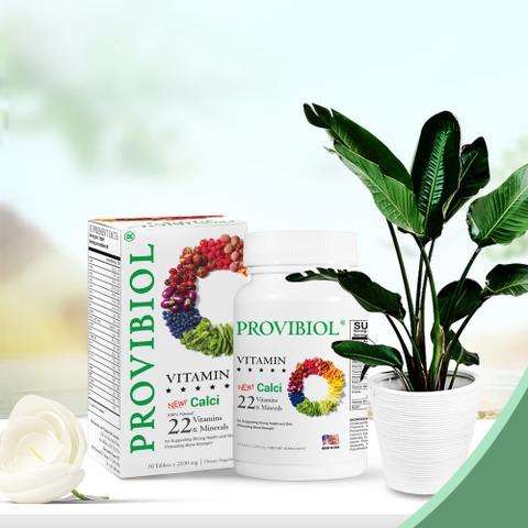Viên Uống Vitamin Và Khoáng Chất Provibiol 60 Viên