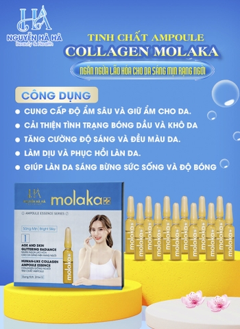 Collagen Molaka Tinh Chất Ampoule