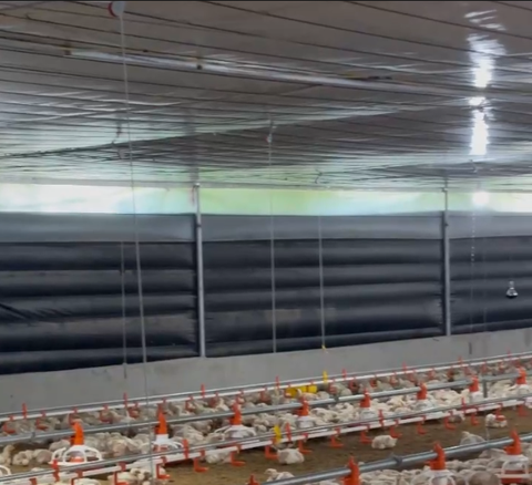 Bạt hông Thái đen dùng để che nắng cho trang trại đồ bền cực cao 2x100m hoặc 1.8x100m