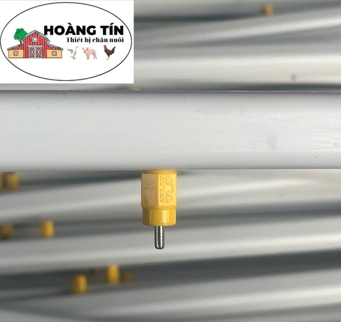 ĐƯỜNG ĂN UỐNG TỰ ĐỘNG TRẠI GÀ THỊT