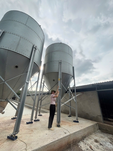 BỒN SILO CHỨA CÁM 14 TẤN TÔN MẠ KẼM CẤP CÁM TỰ ĐỘNG CHO TRANG TRẠI HEO GÀ VỊT