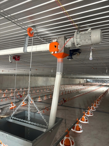 ĐƯỜNG ĂN TỰ ĐỘNG TRẠI GÀ DÀI 120M CỦA TRẠI GÀ KÍCH THƯỚC 16X120M 4 ĐƯỜNG ĂN