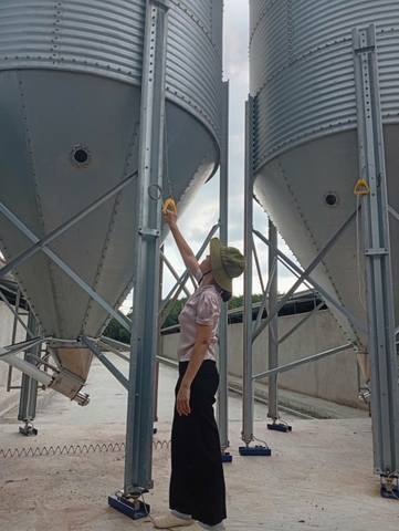 BỒN SILO CHỨA CÁM 14 TẤN TÔN MẠ KẼM CẤP CÁM TỰ ĐỘNG CHO TRANG TRẠI HEO GÀ VỊT
