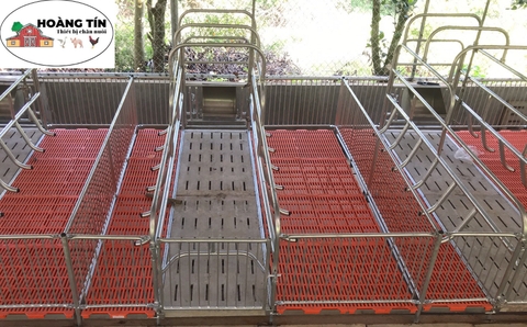 Chuồng heo nái đẻ