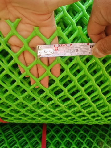 Lưới nhựa sàn vịt khổ 2m nhựa zin màu xanh chuyên trại