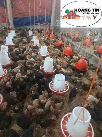 Máng ăn cho gà chia ô đỏ trắng 6 Kg (máng đại)