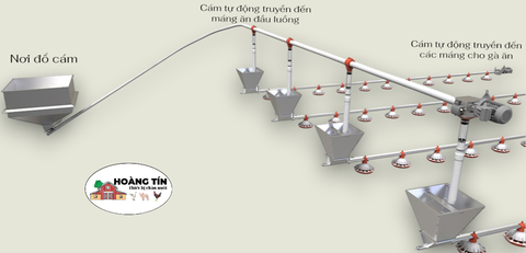 ĐƯỜNG ĂN TỰ ĐỘNG TRẠI GÀ 12X60M VỚI 3 ĐƯỜNG ĂN TRONG TRẠI CÙNG BỒN HOBBER Ở NHÀ CÁM