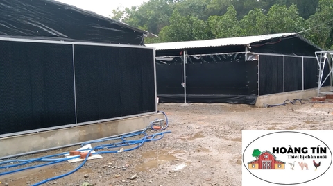 BẠT HÔNG ĐEN GIA LỢI KHỔ 2 X 100M DÙNG QUÂY BẠT HÔNG, QUÂY ÚM VỊT, QUÂY ÚM GÀ
