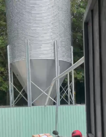 ĐƯỜNG TRUNG CHUYỂN CÁM DÀI 10M TỪ SILO VÀO HOPPER ÂM TRONG NHÀ CÁM CỦA TRẠI VỊT 12X80M