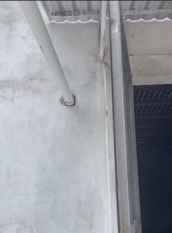 ĐƯỜNG TRUNG CHUYỂN CÁM DÀI 10M TỪ SILO VÀO HOPPER ÂM TRONG NHÀ CÁM CỦA TRẠI VỊT 12X80M