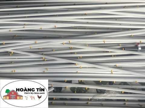Núm gà tự động AYTAV loại nhỏ SX Thổ Nhĩ Kỳ