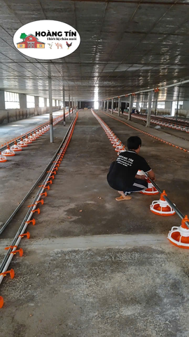 MÁNG ĂN CHO GÀ THỊT ( MÁNG 7 -14 Ô)