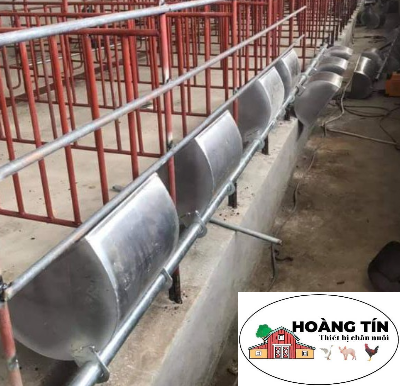 Chuồng heo nái đẻ