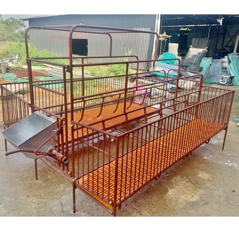 Chuồng heo nái đẻ