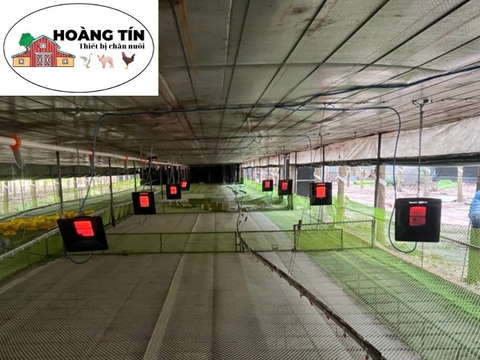 ĐÈN ÚM GA ALKE NHẬP KHẨU CHÍNH HÃNG, ĐÈN KHÒ, CHỤP SƯỞI