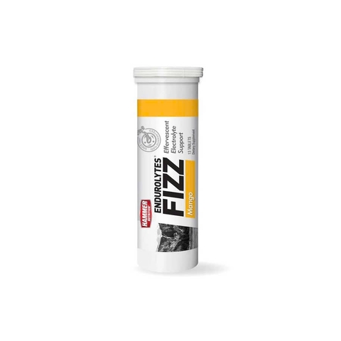Viên Sủi Điện Giải Hammer Nutrition Endurolytes Fizz 13 Viên - Mango