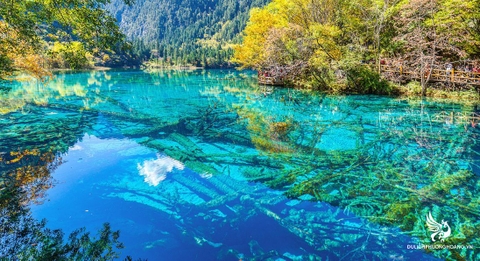 HÀ NỘI-  CỬU TRẠI CÂU- CV GẤU TRÚC THÀNH ĐÔ