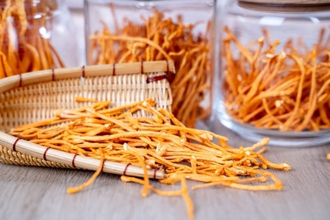 Tại Sao Đông Trùng Hạ Thảo Là Thần Dược Hàng Đầu Cho Người Cao Tuổi?