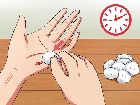 Công Dụng Cầm Máu Hiệu Quả Của Cây Dành Dành