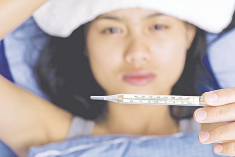 Hạ Sốt Hiệu Quả Từ Cây Chó Đẻ Răng Cưa Giải Pháp Tự Nhiên , An Toàn