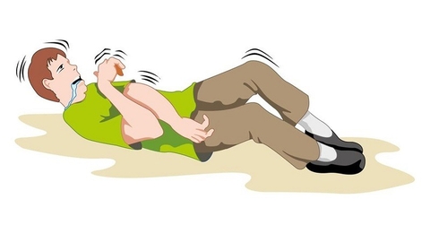 Phòng Ngừa Và Chống Co Giật Ở Người Nhờ Cây Câu Đằng