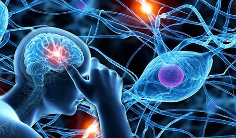 Hỗ Trợ Điều Trị Suy Nhược thần Kinh