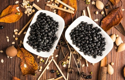 Đậu Đen : Lợi Ích Đối Với Sức Khoẻ Mà Bạn Chưa Biết