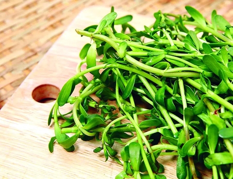 Tổng Quàn Công Dụng Và Cách Dùng CỦa Rau Đăng Đối Với Sức Khoẻ