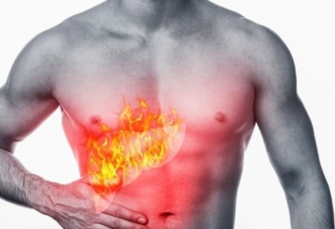 Giải Độc Gan Thanh Nhiệt Cùng Râu Ngô Tại Nhà An Toàn Hiệu Quả