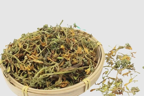 Hướng Dẫn Làm Trà Hoa Đu Đủ Tại Nhà: Lợi Ích Sức Khỏe Bất Ngờ