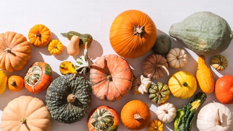 Chống Ung Thư Từ Bí Đỏ Bạn Đã Biết Chưa ?