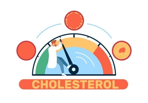 Tác Dụng Của Cây Khế Rừng Trong Việc Giảm Cholesterol