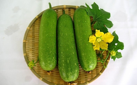 Giải Độc Gan Tự Nhiên Với Bí Đao An Toàn Không Cần Dùng Đến Thuốc