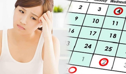 Hỗ Trợ Trị Kinh Nguyệt Không Đều, Đau Bụng Kinh, Rong Kinh Từ Cây Cỏ Nến Chị Em Nên Biết