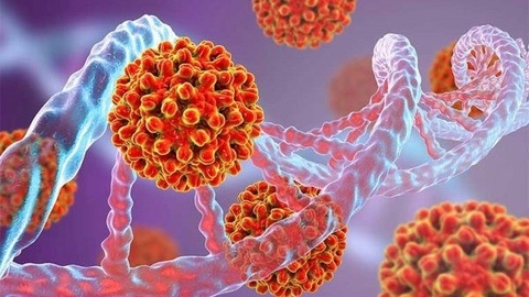 Phòng Ngừa Ung Thư Với Cây Gừng Dại