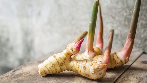 Tìm Hiểu Công Dụng Của Cây Riềng Đối Với Sức Khoẻ