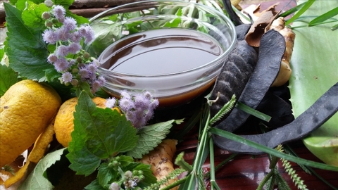 Bồ Kết Trong Y Học Dân Gian: Hướng Dẫn Sử Dụng Trong Các Bài Thuốc Đông Y Chữa Trị Bệnh