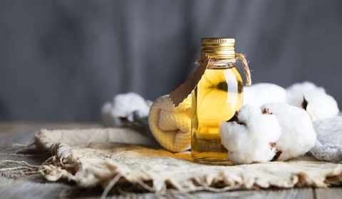 Dầu Hạt Bông Liệu Pháp Tốt Cho Người Ăn Kiêng