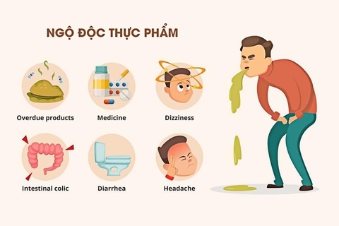 Dấu hiệu của Ngộ Độc Thực phẩm , Nguyên nhân do đâu và cách chữa trị từ mộc hương trong Y học cổ truyền