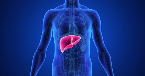 Giải Pháp Chữa Trị Viêm Gan , Giải Độc Gan Hiệu Quả Từ Cây Cúc Liên Chi Dại