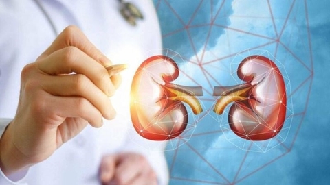 Bảo Vệ Thận Với Đông Trùng Hạ Thảo: Giải Pháp Tự Nhiên Hiệu Quả