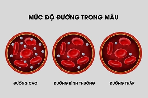 Dừa Cạn: Thảo Dược Tự Nhiên Giúp Duy Trì Mức Đường Huyết Lý Tưởng