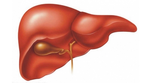 Gan và Các Nguyên Nhân, Thói Quen, Các Yếu Tố Tác Nhân Gây Ra Các Bệnh Ở Gan