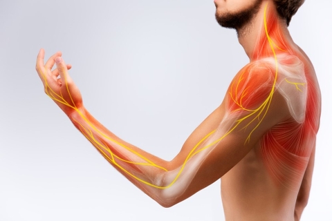 Công Dụng Chống Viêm Của Thảo Dược Trần Bì Mà Bạn Cần Biết